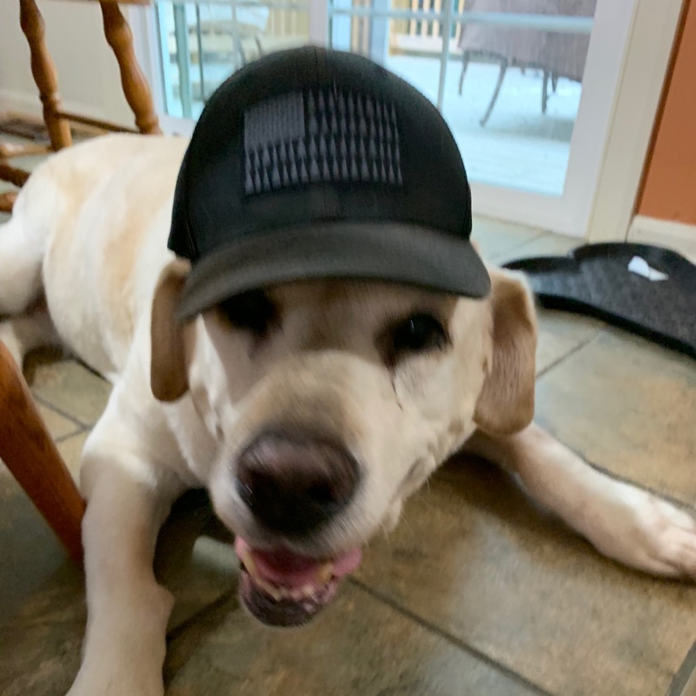 Meet your Posher, Neal